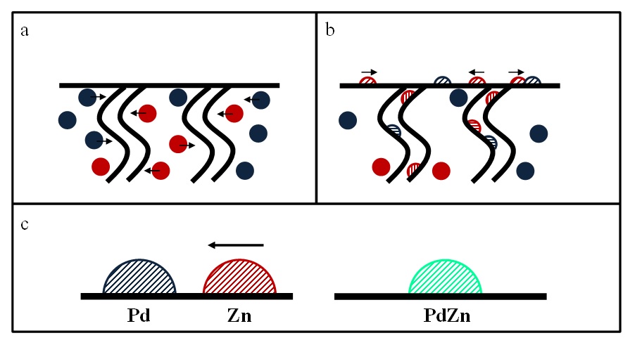 Gedurende de reductie met waterstof zullen de Pd- en Zn-ionen diffunderen naar de poriën van de drager en vervolgens naar het oppervlak (a). In de poriën en op het oppervlak zijn ze bereikbaar voor waterstof en worden ze bijgevolg gereduceerd (b). Gereduceerd Zn zal vervolgens diffunderen in de Pd-kern met vorming van de PdZn-legering tot gevolg (c). (Pd: blauw, Zn: rood, PdZn: cyaan, metallische vorm wordt gestreept weergegeven)