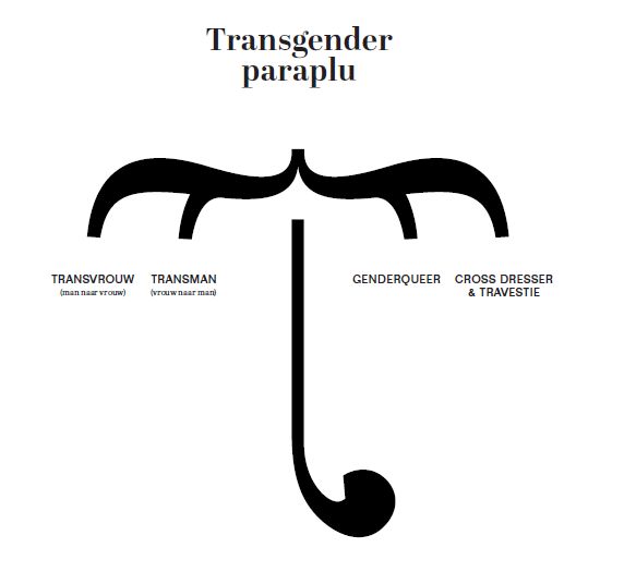 Bron: Transgenderinfopunt