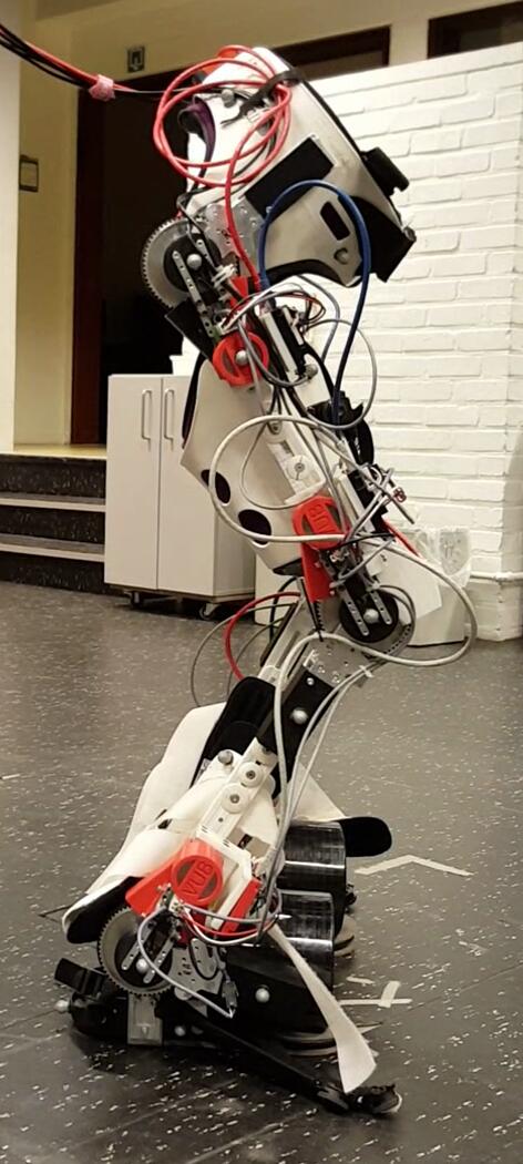 Robotpak