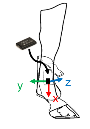 accelerometer