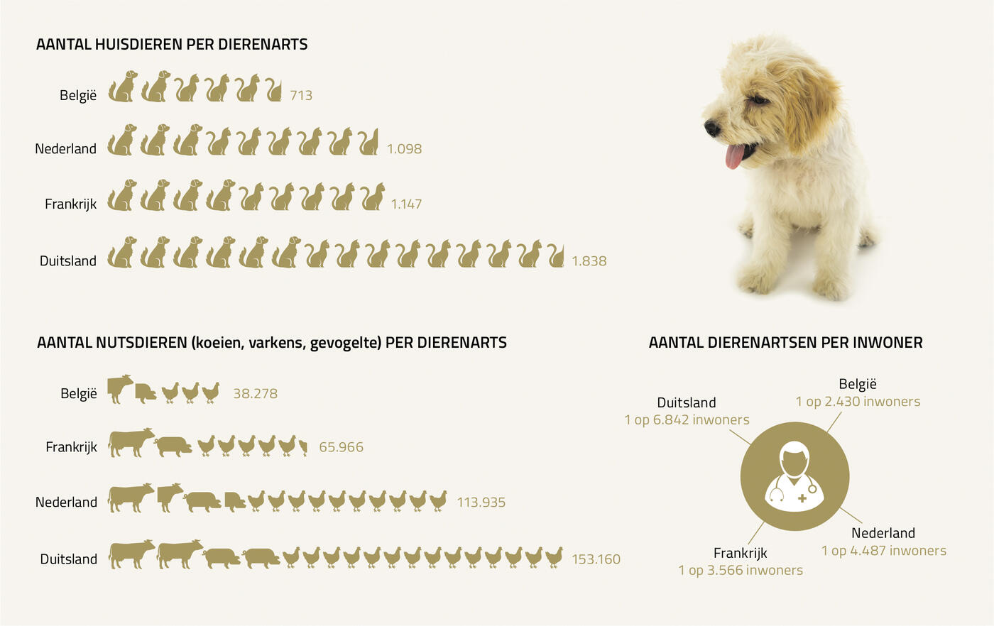infografiek Dierenartsen overaanbod