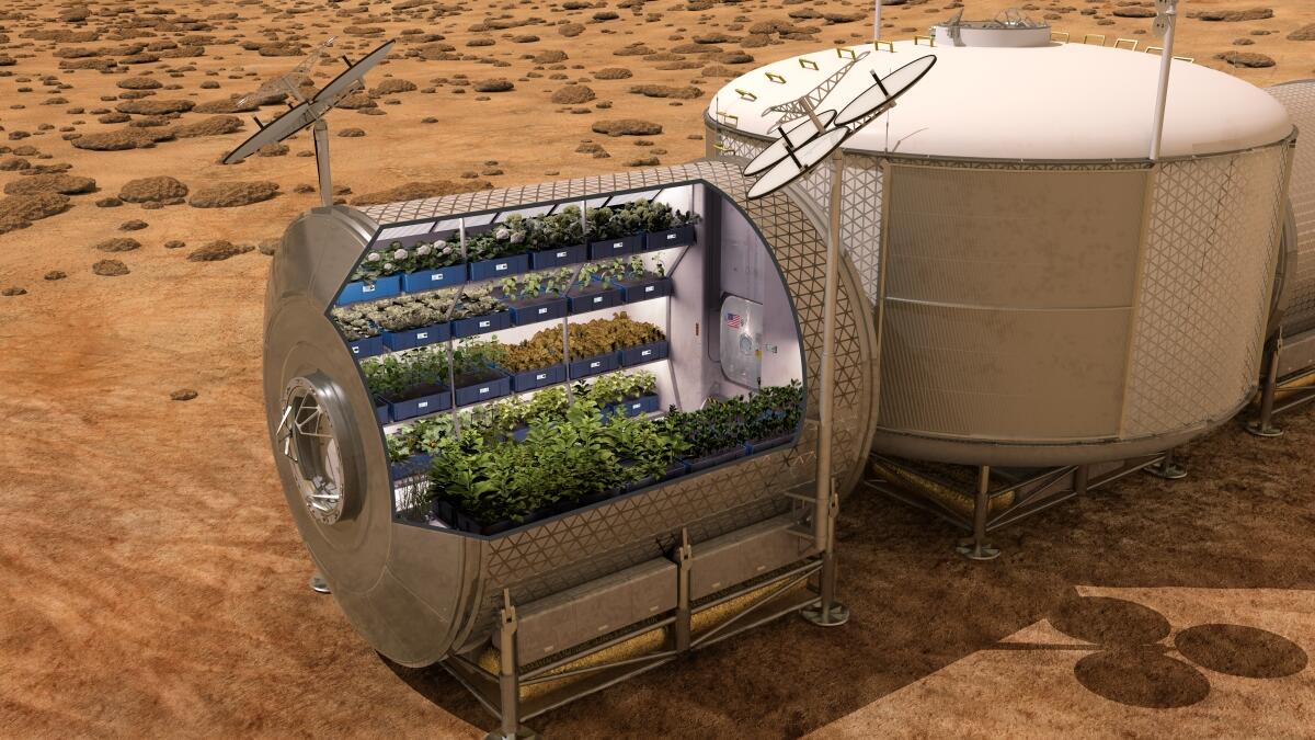 Simulatie van een groeimodule.