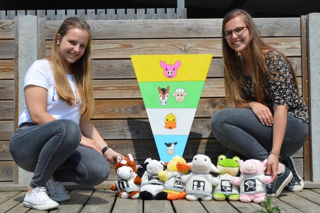 Bachelorproef Denys en Catteuw Piraminder