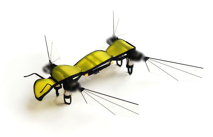 Robo Firefly