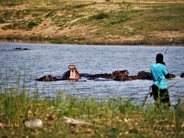 Op zoek naar parasieten in Afrika